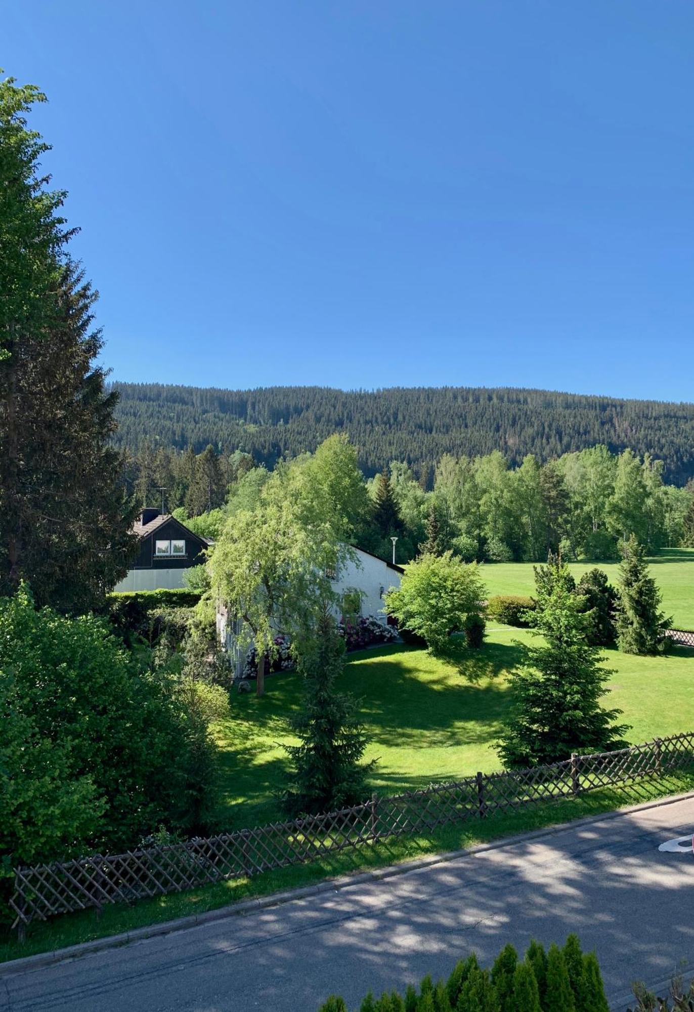 Ferienwohnung Homburger - Titisee Екстер'єр фото
